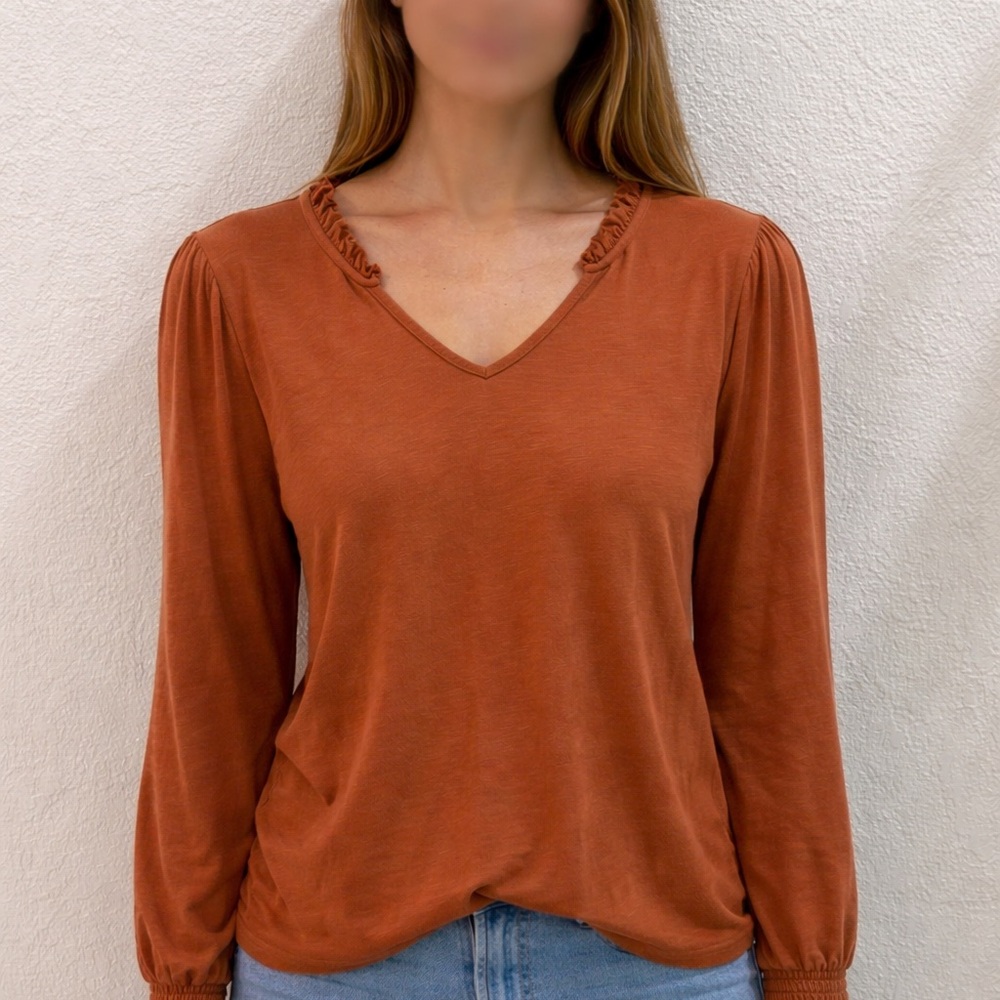 Long Sleeve V-Neck Top in Rust